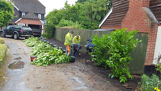 Team of arborists clearing garden waste and branches