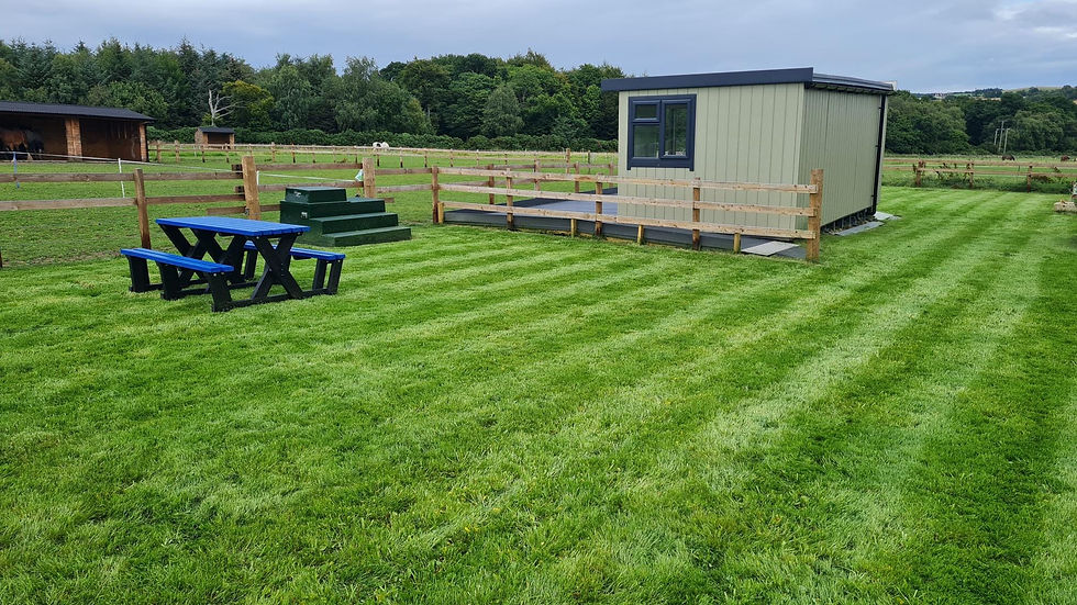 Professional striped lawn with timber fencing and garden shed in Cupar