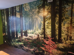 20191125_132122[1].jpg