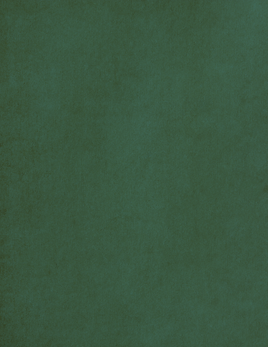 Green Poster Texture.png