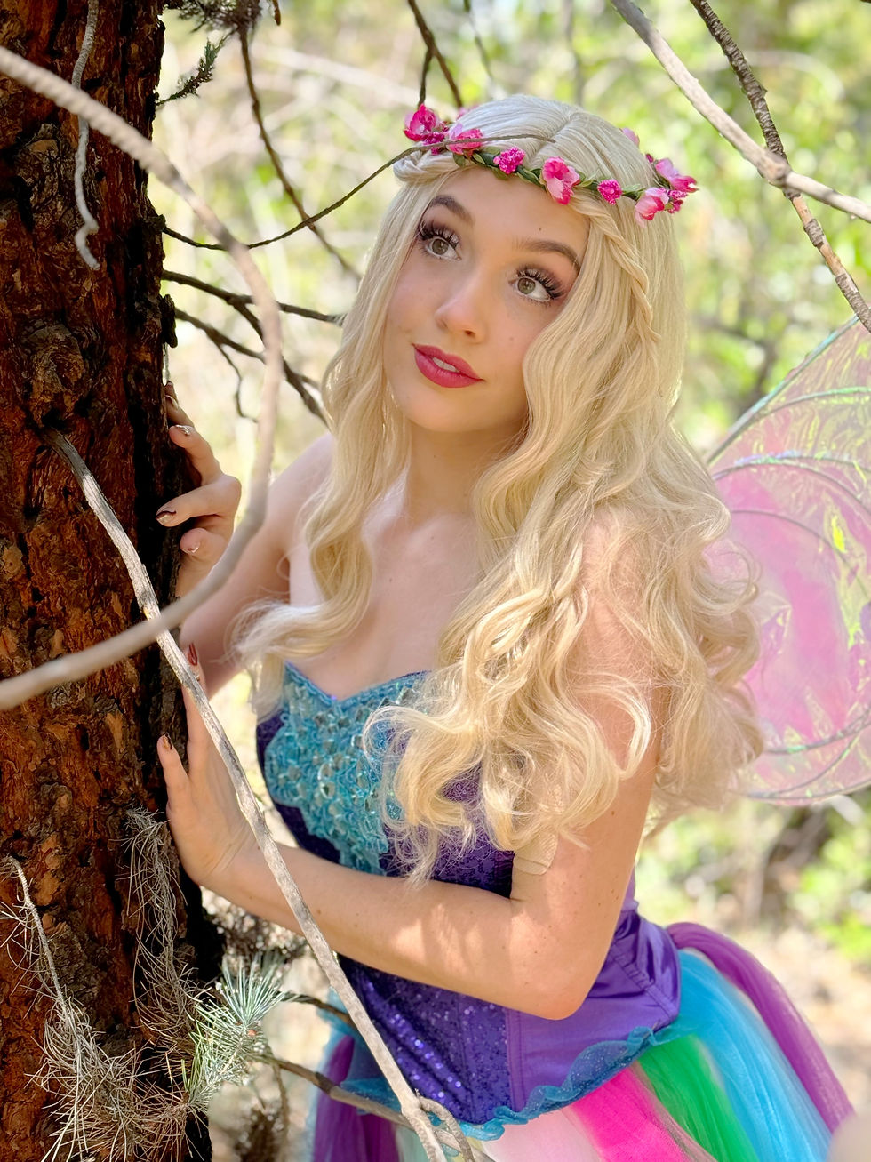 Fairy