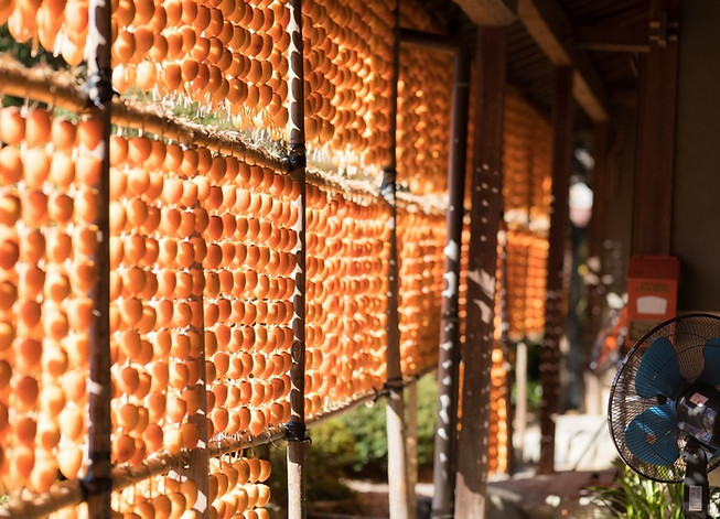 柿渋染め体験・柿渋染め代行・商品販売 | 柿BUSHI | 岐阜県山県市