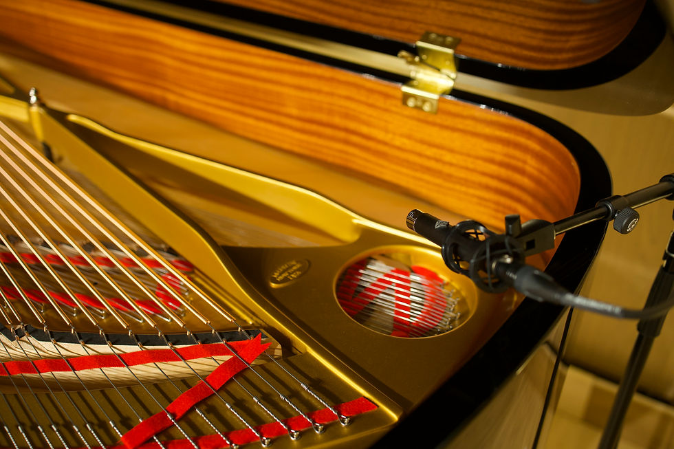 Our Steinway Model B mixed and ready for audition recording.