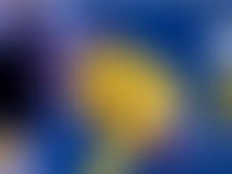 Encuesta de Hábitos Deportivos en España 2022