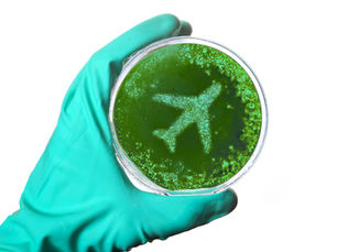 Avoid Getting Sick on the Plane