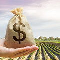 Engenharia e economia na agricultura