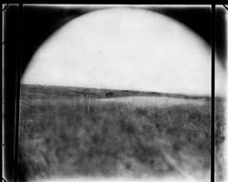 prairie