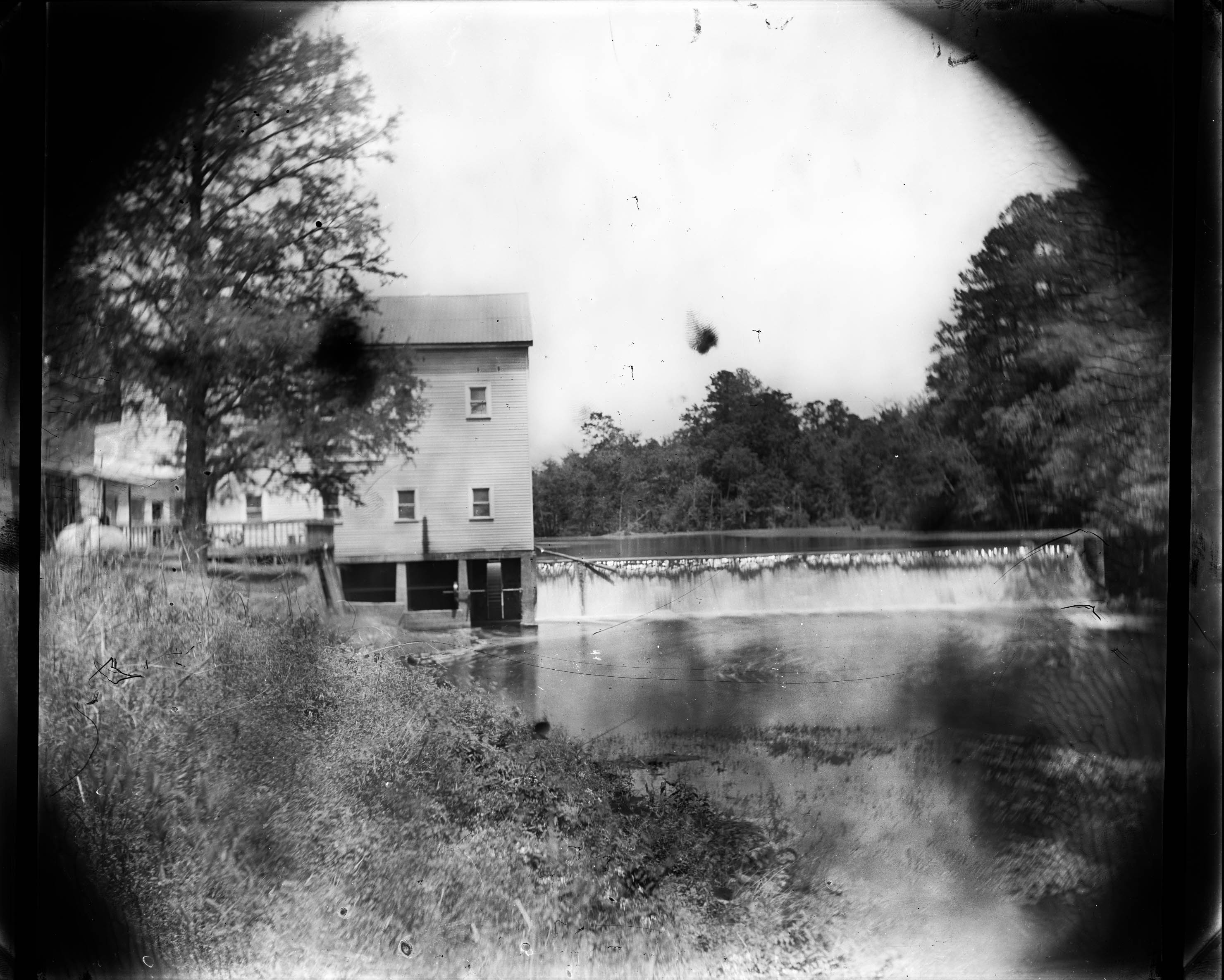 North Carolina shanebooth