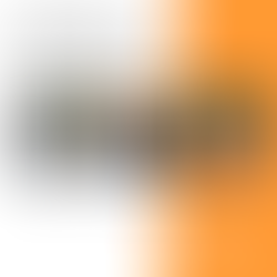 SCAQ Welcomes New President