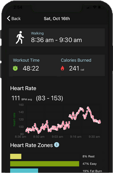 HRzone with Frame.png