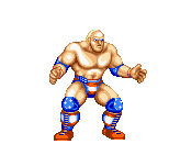 musclepower-hogan.gif