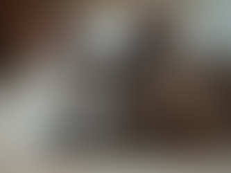 The Fascinating History of the Scottish Fold Cat Breed