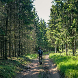 00072900-WBT - Trekking & Voyage-Randonneur en forêt au milieu des arbres.JPG