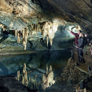 Domaine des Grottes de Han (grottes, parc animalier & accrobranche) à 6km