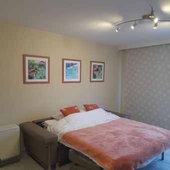 Appartement à la mer - Canapé-lit