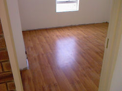 Photo-0233