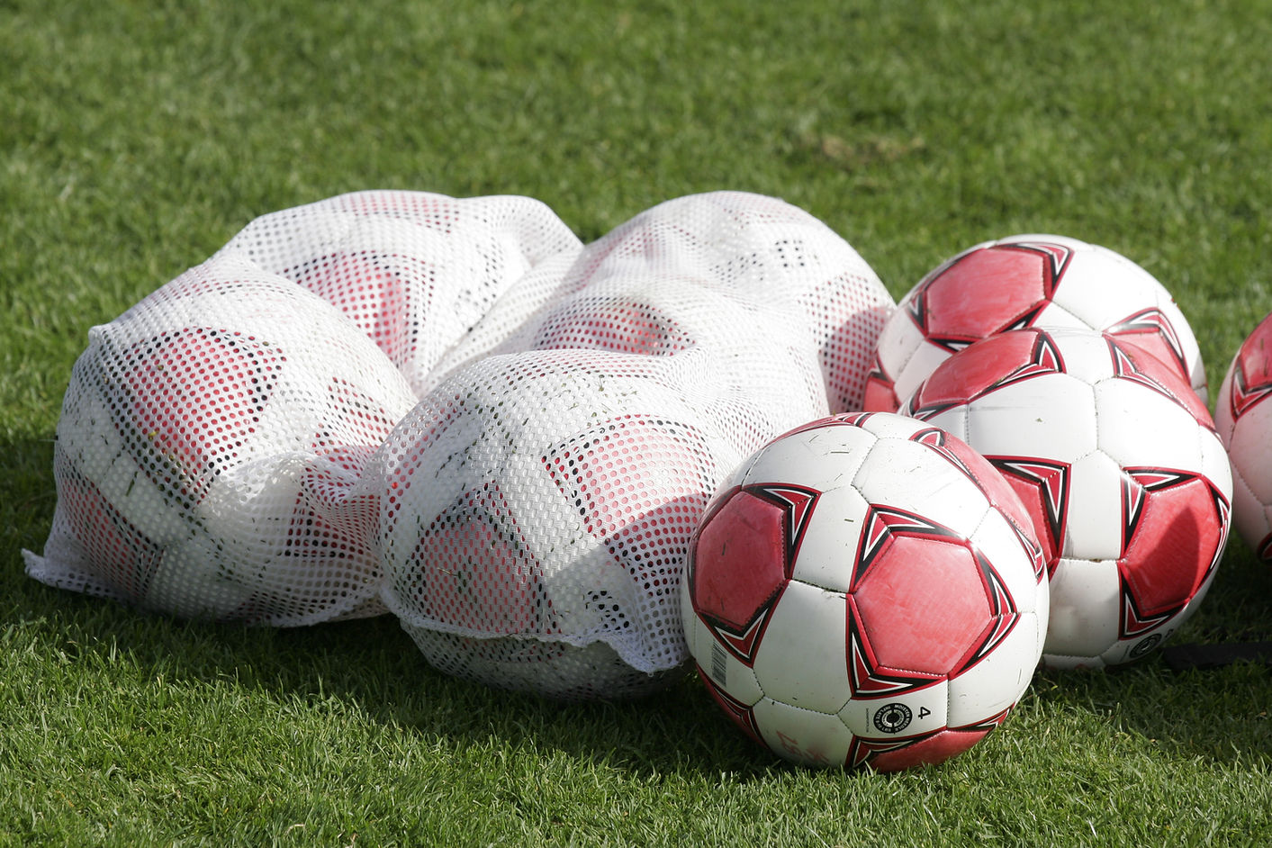 Balls and Bag.jpg
