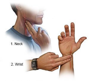 From: https://www.drugs.com/cg/how-to-take-a-pulse.html