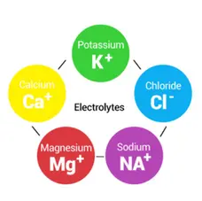 Do I Need Electrolytes?