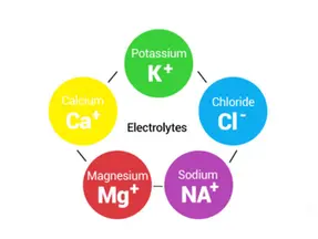 Do I Need Electrolytes?