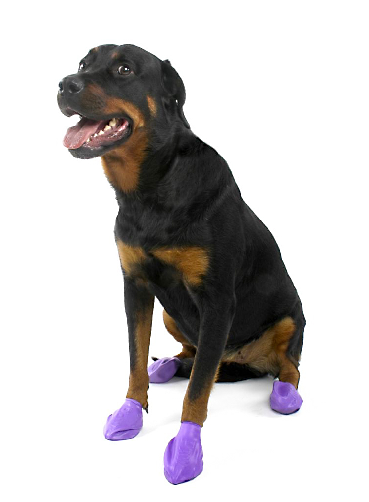 soft cat food brands