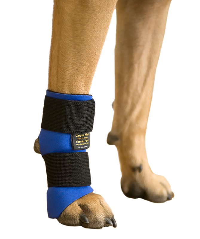 CarpoFlex Sports Wrap TheraPaw United States