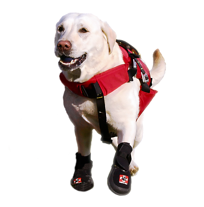 thera paw boots for greyhounds