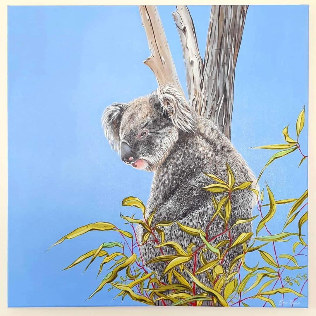 Koala Bushfire Auction