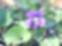 25434296553_0cc460a3bd_k_edited_edited.jpg