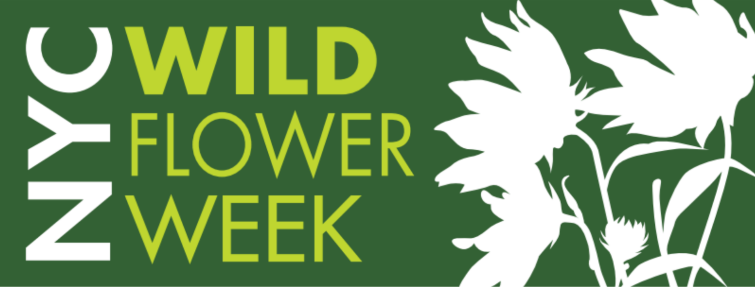 Native Plants NYC Wildflower Week