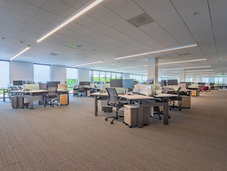 Professional Janitorial Services in Charleston, SC: Your Complete Guide to Commercial Cleaning Solutions