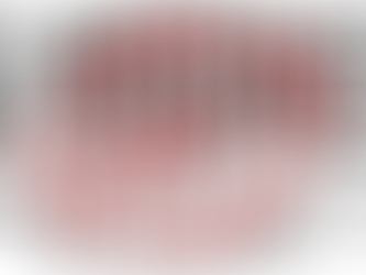 Business Brokers of Florida