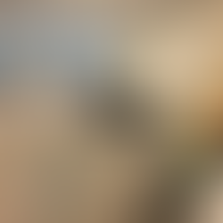 Cleaning Services Orlando FL