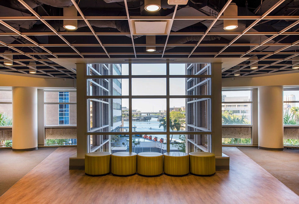 Janitorial Services in Tampa, FL
