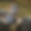 Thumbnail: Grass-fed lamb - HALF