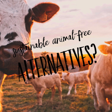 Sustainable Animal-Free Alternatives?