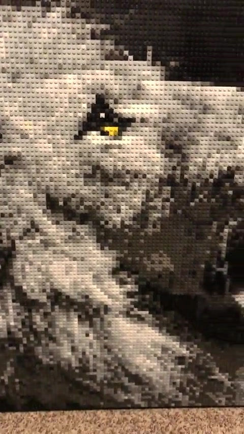 Thumbnail: Charity Commission - The Lion (36"W x 36"H)