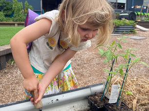 Pedagogical Gaze - our montessori lens