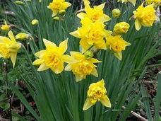 All Things in Common