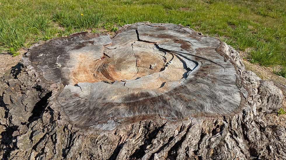 It isn't fair... but it can be holy