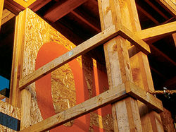 _05 infoSite/ Tijuana