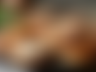 Elevate Your Event with Bagel Catering