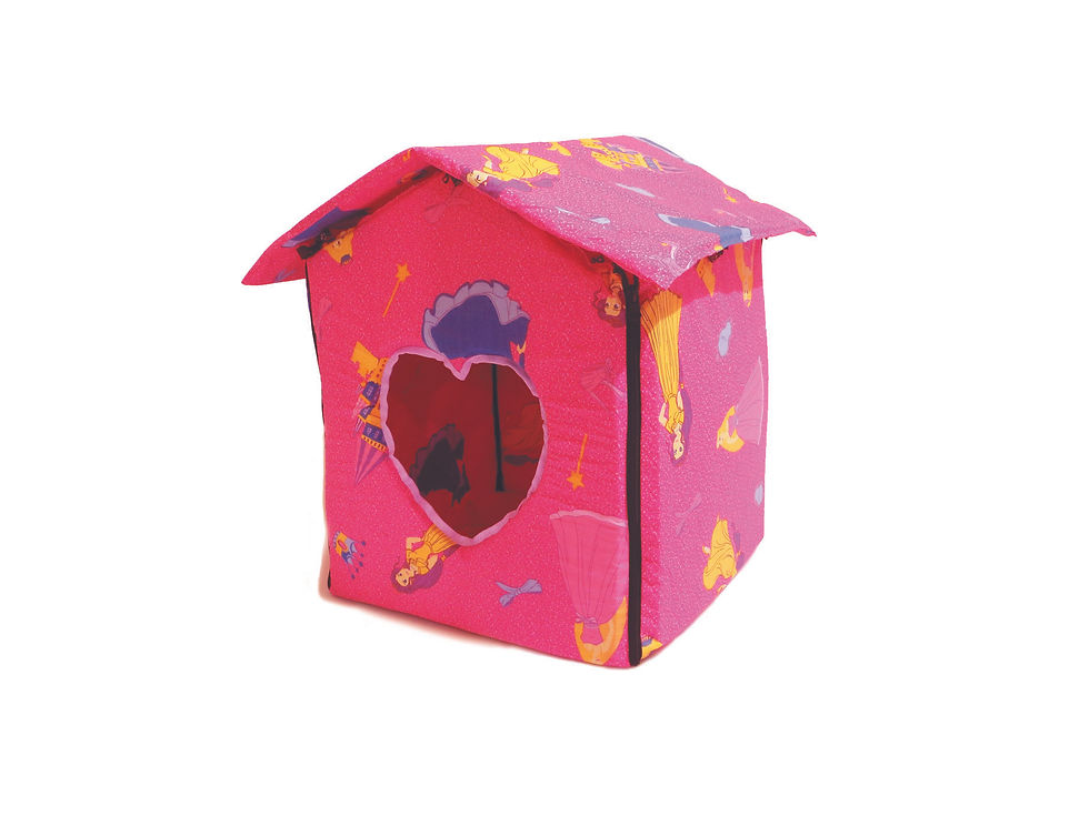 Miniatura: CASETTA PRINCESS