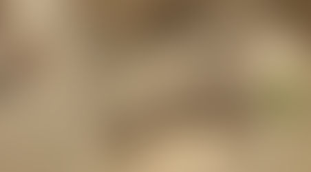 BOSCH DWK09G660 קולט אדים