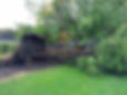 8096437998_674b3f88b3_z.jpg