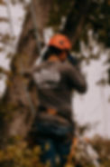 Timeless Images 3-8.jpg