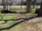 2022-03-28 14.03.50.jpg