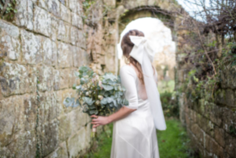 Silk BowVeil