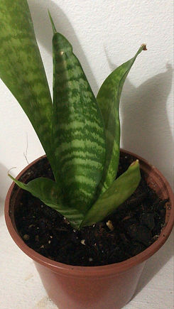 WhatsApp Image 2025-07-26 at 22.37.09.jpeg