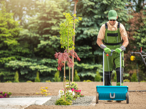 Seeding & Dressing